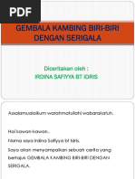 Gembala Kambing Biri-Biri Dengan Serigala