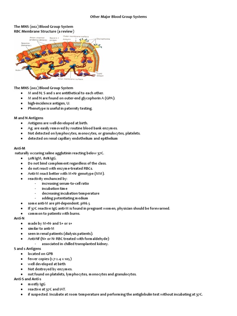 Other Major Blood Group Systems | PDF | Blood Type | Hematology