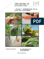 plagasyenfermedadesenalgodon-141127072420-conversion-gate02.pdf