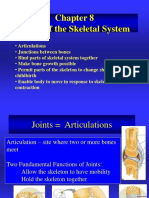 Joints of The Skeletal System: Childbirth Contraction