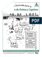 Guia Ilustrada Para La Produccion de Ovinos y Caprinos