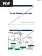 Via Acetato Malonato