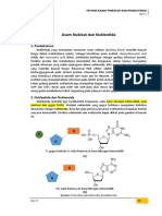 3.-Asam-Nukleat-dan-Nukleotida