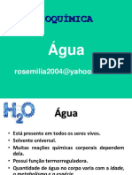 Aula 1 - Agua ROSA