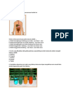 SOAL Pencernaan Vita-Shasha