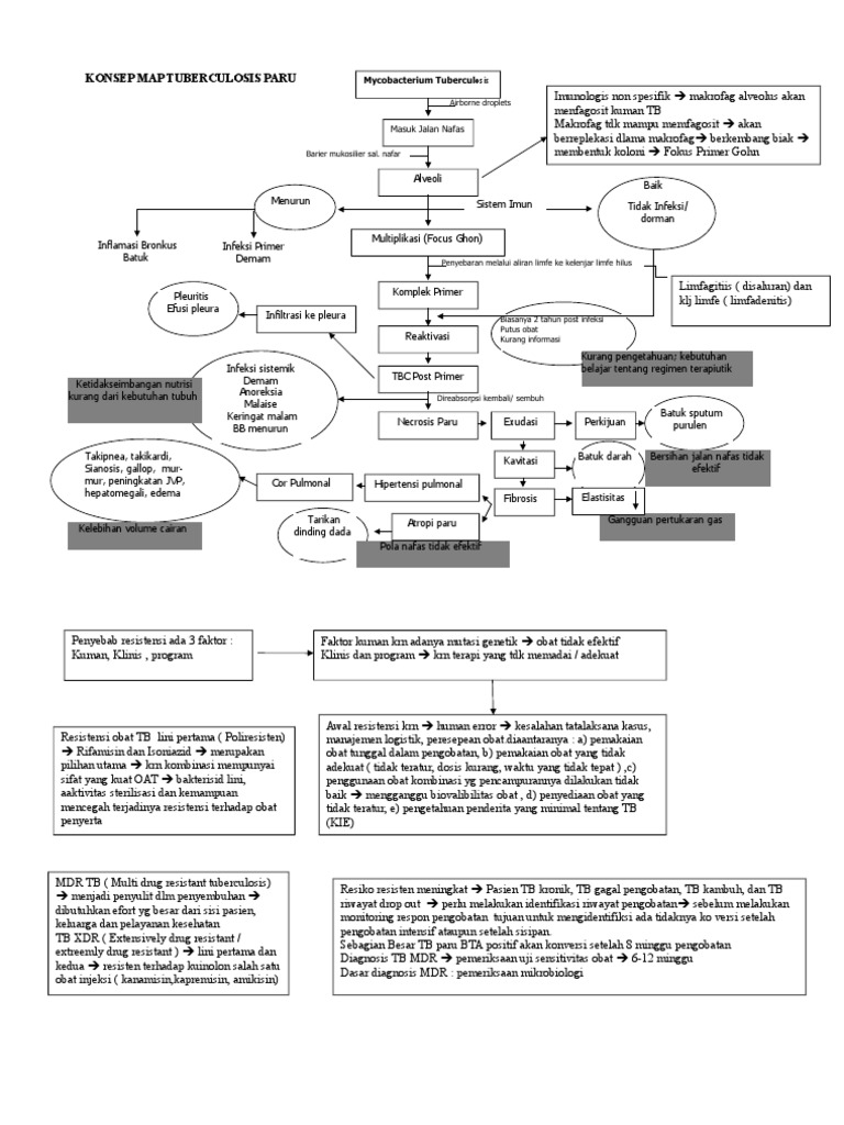 Konsep Map TB MDR | PDF