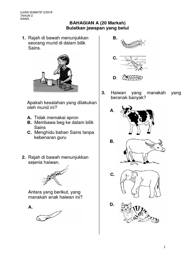 Sains Tahun 2 Penilaian Semester 1 Pdf