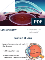 Si Kodhil - Lens Anatomy