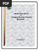 CRFM Strategic Plan - 2002
