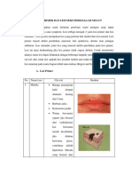 Lesi Primer Dan Lesi Skunder