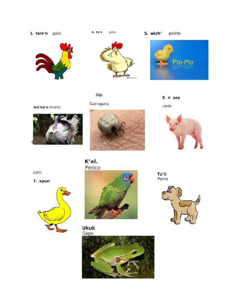 Palabras en Achi PDF