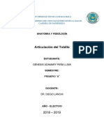 Articulación del tobillo: Estructura, componentes y movimientos