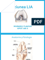 Leziunea LIA: Murariu Flavius Kpot An Ii