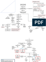 Pathway DHF New1