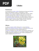 Lilidae Familias
