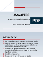 Mamifere