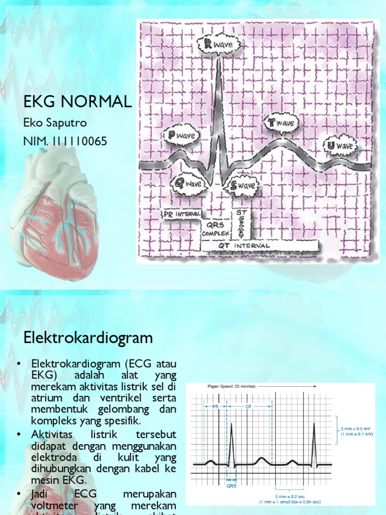 Unduh 4200 Koleksi Gambar Ekg Normal 1- Paling Baru HD