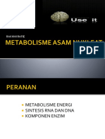 Metabolisme Asam Nukleat