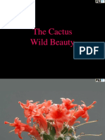 fiori-di-cactus.pps