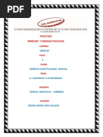 La Concesion y Los Minerales