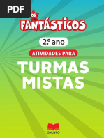 Turmas Mistas - 2.º Ano (2)