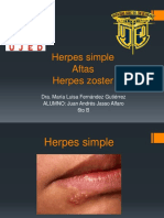 Herpes Simple y Zoster