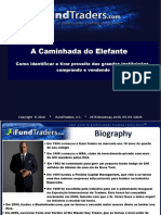 PASSOS DO ELEFANTEVelez (1).pdf