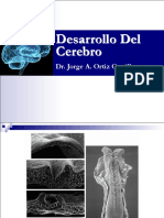 9. Embrio Cerebro-JAOC 2015(1).pdf
