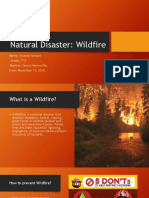 Natural Disaster Wildfire_Vicente Yantani