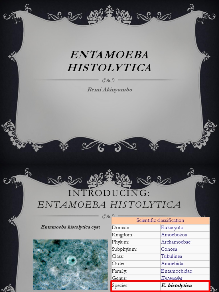 Classification of Entamoeba histolytica | PDF | Medical Specialties ...