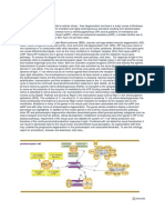 Retinitis Pigmentosa.docx