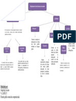 Sem 6. Mapa Conceptual PDF