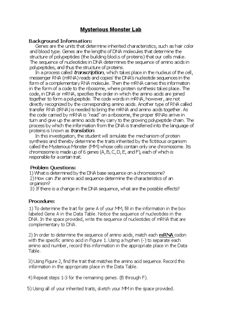 Mysterious Monster Lab Protein Synthesis | PDF | Rna | Biosynthesis