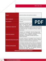 Guía de Proyecto - AUDITORIA FIN 1 PDF