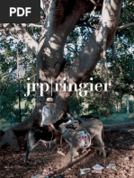 JRP Ringier Catalogue 2004-2012