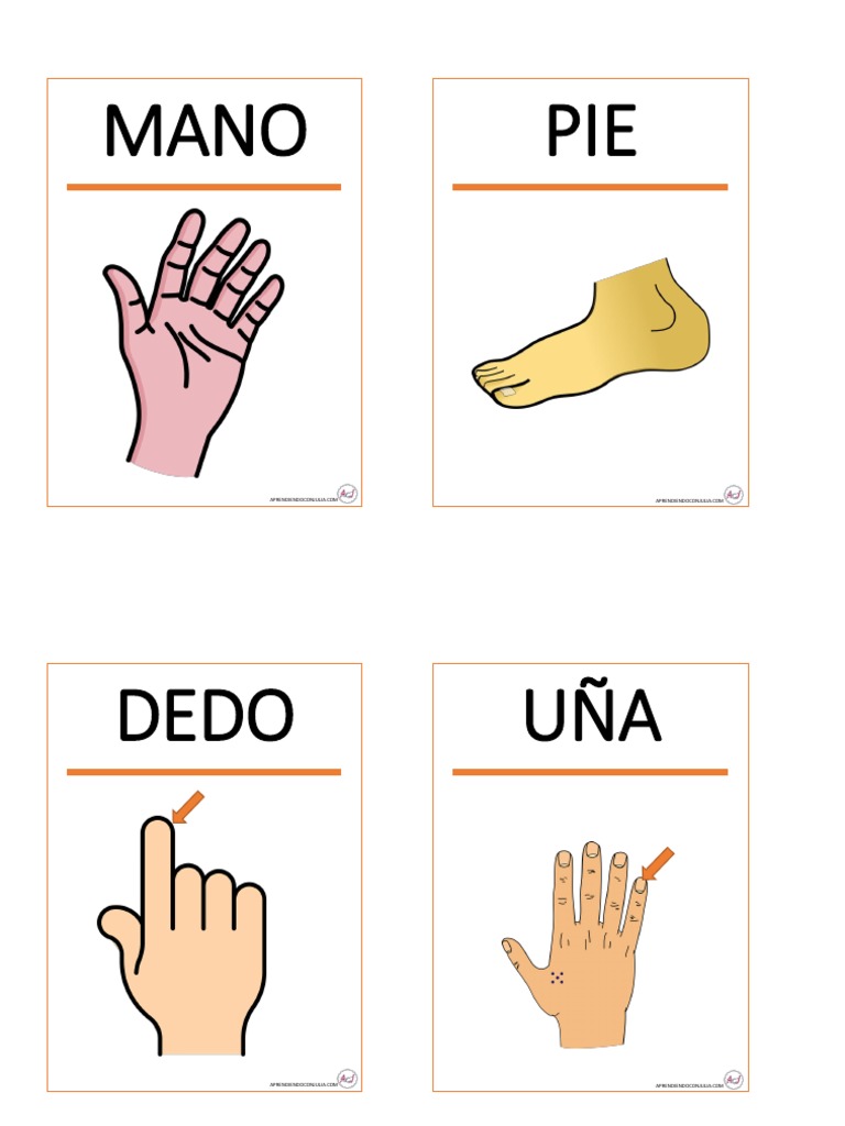 TARJETAS PARTES DEL CUERPO PARA IMPRIMIR (1).pdf Anatomía humana