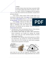 Anatomi dan Fungsi Kelenjar Adrenal