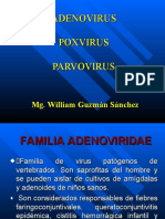 6729516 Adenovirus Poxvirus y Parvovirus1