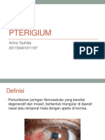 AMIRA Pterigium