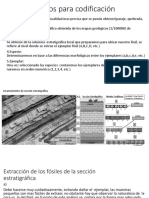 Proceso de estudios paleontologico