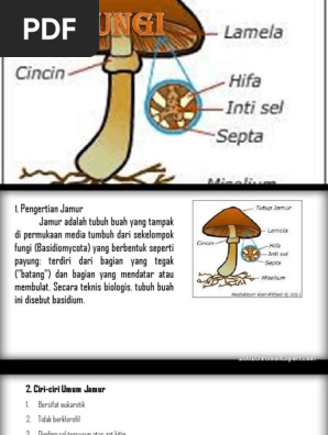 Fungi Pdf