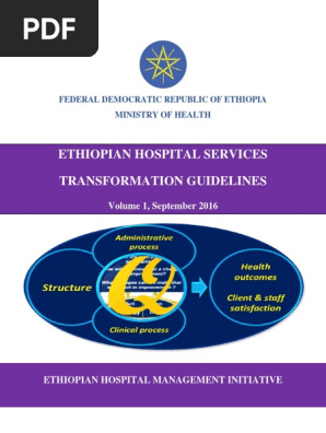 Final Ehstg Volume I Pdf Governance Board Of Directors