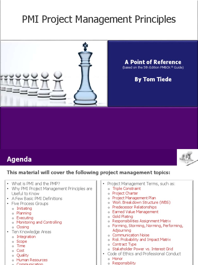 PMI Project Management Principles: A Point of Reference by Tom Tiede ...