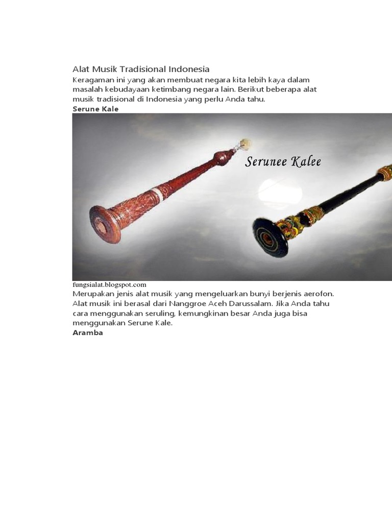 Alat Musik Tradisional Indonesia Serune Kale