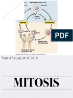 Bio 1 Topic 7.2 - Mitosis PDF