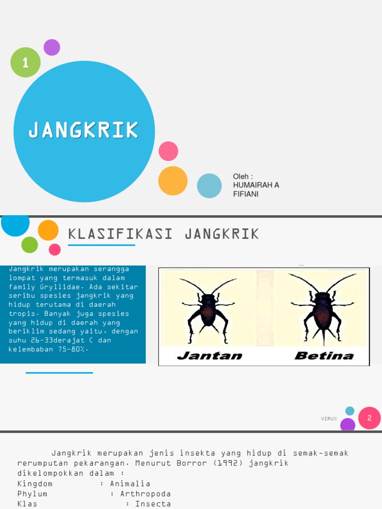 JANGKRIK PDF