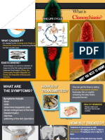 Clonorchiasis PDF