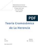 Teoria Cromosomica de La Herencia