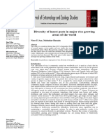 Diversity of Insect Pests in Major Rice Growing Areas of The World
