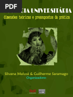 docência universitárias